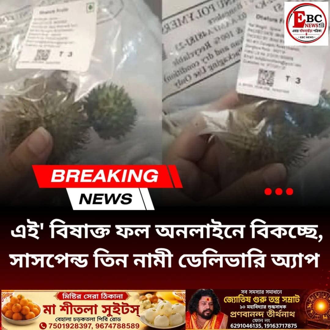 অনলাইনে 'খাদ্য' হিসেবে বিষাক্ত ধুতুরা ফল ও বীজ বিক্রি করার অভিযোগে কর্ণাটক খাদ্য নিরাপত্তা দপ্তর তিনটি অত্যন্ত জনপ্রিয় ই-কমার্স এবং কুইক-কমার্স ডেলিভারি অ্যাপের লাইসেন্স সাসপেন্ড করেছে।
কর্ণাটক ফুড সেফটি অ্যান্ড ড্রাগস অ্যাডমিনিস্ট্রেশন (KFSDA) যে তিনটি নামী সংস্থার ফুড লাইসেন্স সাময়িকভাবে বাতিল করেছে, সেগুলি হলো Amazon,Swiggy Instamart ও বিগবাস্কেট।
এই অনলাইন প্ল্যাটফর্মগুলিতে ধুতুরার ফল ও বীজ মানুষের খাওয়ার উপযুক্ত 'খাদ্য সামগ্রী' (Food Product) হিসেবে তালিকাভুক্ত করা হয়েছিল। এমনকি কিছু প্যাকেটের গায়ে বেআইনিভাবে FSSAI (ফুড সেফটি অ্যান্ড স্ট্যান্ডার্ডস অথরিটি অব ইন্ডিয়া) লাইসেন্স নম্বরও ব্যবহার করা হয়েছিল। বিষয়টি খাদ্য নিরাপত্তা দপ্তরের নজরে আসে। তদন্তের পর দেখা যায়, বিষাক্ত এই ফলটি বিভিন্ন গুদামে মজুত করে চড়া দামে অনলাইনে বিক্রি করা হচ্ছিল। এর পরেই জনস্বাস্থ্যের ঝুঁকির কথা মাথায় রেখে কড়া ব্যবস্থা নেওয়া হয় এবং সমস্ত লিস্টিং অবিলম্বে তুলে নেওয়ার নির্দেশ দেওয়া হয়।
কর্ণাটকের খাদ্য দপ্তরের তরফে জানানো হয়েছে, এখনও পর্যন্ত একাধিক সংস্থা কোনও জবাবদিহি করেনি। আবার একটা সংস্থা অনলাইনে ধুতুরা ফলের বিক্রি বন্ধ করে দিয়েছে। ইতিমধ্যেই যে জবাবদিহি খাদ্য দপ্তরকে দেওয়া হয়েছে, তাতে সন্তুষ্ট হননি আধিকারিকরা।
KFSDA-র কমিশনার শ্রীনিবাস কে নির্দেশিকা জারি করে জানিয়েছেন, অবিলম্বে ধুতরা ফলের যাবতীয় বিজ্ঞাপন, লিস্টিং সরাতে হবে ওই তিন সংস্থাকে। ধুতরা ফলকে কোনও ভাবেই খাদ্যপণ্য হিসেবে বিক্রি করা যাবে না। নির্দেশিকায় আরও বলা হয়েছে যে, ২০০৬ সালের খাদ্য নিরাপত্তা ও গুণমান আইন এবং ২০১১ সালের খাদ্য নিরাপত্তা ও গুণমান বিধি অনুযায়ী, ধুতরা ফল ও বীজ মজুত রাখা, বিক্রি করা, খাদ্যপণ্য হিসেবে বিতরণ করা নিষিদ্ধ।