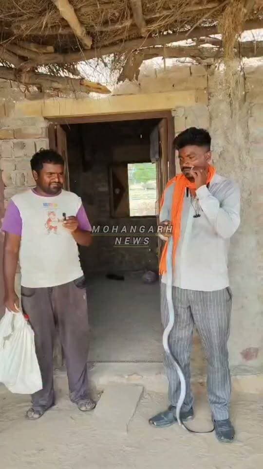 मोहनगढ़ नहरी क्षेत्र के MGD पर ब्लेक कोबारा का स्नेक कैचर अर्जुन राम ने किया रेस्क्यू....आपके घरों के आसपास दिखे तो तुरंत 7230009507 संपर्क करें....
#jaisalmer #barmer #Bikaner #jodhpur #Rajasthan #reels #tradingreels