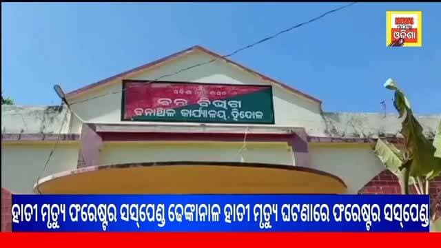ହାତୀ ମୃତ୍ୟୁ ଘଟଣାରେ ଦୁଇ କାର୍ଯ୍ୟକର୍ତ୍ତା ନିଲମ୍ବିତ
#public
#newsupdate
#newsodiaodisha #vairalvideo #dhenkanal