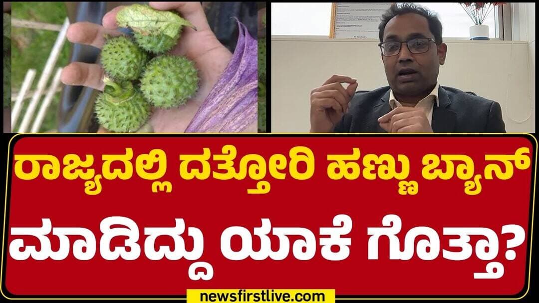 Datura Fruit : ರಾಜ್ಯದಲ್ಲಿ ದತ್ತೋರಿ ಹಣ್ಣು ಬ್ಯಾನ್ ಮಾಡಿದ್ದು ಯಾಕೆ ಗೊತ್ತಾ? Dr K N Manohar |@newsfirst