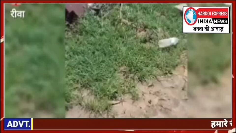 रीवा में पीड़ित परिवार की जमीन पर दबंगों का कब्जा, घर ढहाकर दी जान से मारने की धमकी; पुलिस पर लीपापोती के आरोप
मध्य प्रदेश के रीवा जिले के गढ़ थाना क्षेत्र अंतर्गत घूमा गांव से दबंगई का मामला सामने आया है। पीड़ित लखपति कुशवाहा की जमीन पर गांव के ही कुछ दबंगों द्वारा फर्जी दस्तावेज बनाकर जबरन कब्जा करने का आरोप लगा है। पीड़ित परिवार का कहना है कि वे लगातार सीएम हेल्पलाइन पर शिकायत कर चुके हैं, लेकिन अब तक कोई सुनवाई नहीं हुई।
आरोप है कि अमृतलाल कुशवाहा और अनिल मिश्रा (अधिवक्ता) ने फर्जी कागजात तैयार करवाए हैं, जबकि असली दस्तावेज लखपति कुशवाहा के पास मौजूद हैं। पीड़ित परिवार मिट्टी के कच्चे मकान में रहने को मजबूर है और आए दिन उनके साथ मारपीट की जाती है। आरोप है कि दबंगों ने गुंडे बुलाकर लखपति के मिट्टी के घर को ढहा दिया। घटना के समय घर पर किसी के न होने से बड़ी अनहोनी टल गई।
पीड़ित परिवार ने क्षेत्रीय पुलिस पर रिश्वत लेकर मामले को दबाने का आरोप लगाया है। मामले की गंभीरता को देखते हुए मध्य प्रदेश पुलिस और प्रशासन से निष्पक्ष जांच कर आरोपियों पर सख्त कार्रवाई की मांग की गई है।