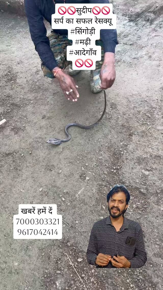 🚫🚫सुदीप🚫🚫
सर्प का सफल रेसक्यू
#सिंगोड़ी
#मढ़ी
#आदेगाँव
🚫🚫