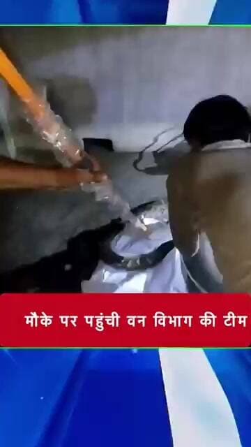 घर में अजगर देख दहशत में आया परिवार, मौके पर पहुंची वन विभाग की टीम #bjp #cjp #cm #unnao