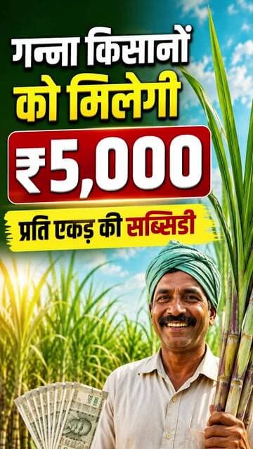Sugarcane Farming: गन्ना किसानों को मिलेगी ₹5,000 प्रति एकड़ की सब्सिडी