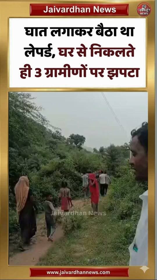 घात लगाकर बैठा था लेपर्ड, घर से निकलते ही 3 ग्रामीणों पर झपटा
.
#Leopardattack #Jaivardhannewws