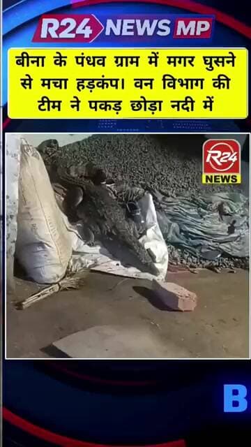 बीना के पंधव ग्राम में मगर आ गया घर मे मचा हड़कम्प, वन विभाग की टीम ने पकड़ छोड़ा नदी में