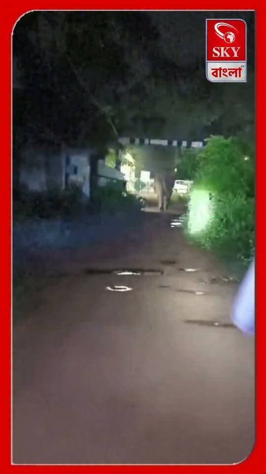 রাতে বড়জোড়ার সাগরাকাটা গ্রামে হাতির তান্ডব! আতঙ্কে এলাকাবাসী
#elephant #elephant #bankura #bankuranews #highlights #skybangla