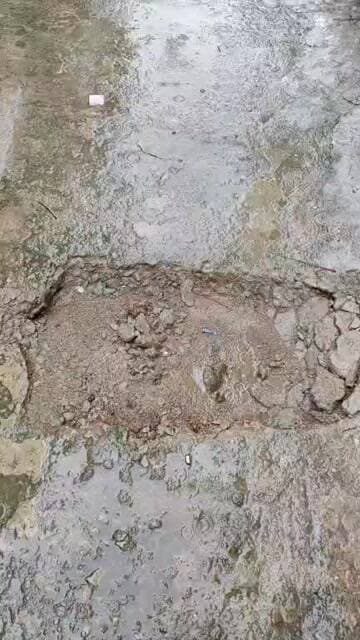 धसक रही सड़कें और बदल रहा है ग्वालियर
मेरे घर के सामने की सड़क धसकी
सिकंदर कंपू रोड, इमली नाका, वार्ड 65
#gwalior #newsimpacr #nagarnigamgwaliot
