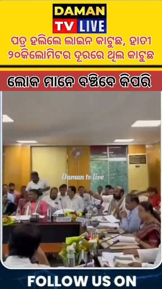 ପତ୍ର ହଲିଲେ କି ହାତୀ ୨୦କିଲୋମିଟର ଦୂରରେ ଥିଲେ ଲାଇନ କାଟୁଛ ଲୋକମାନେ ବଞ୍ଚିବେ କିପରି#ତାଳଚେର#ଅନୁଗୋଳ#damantv