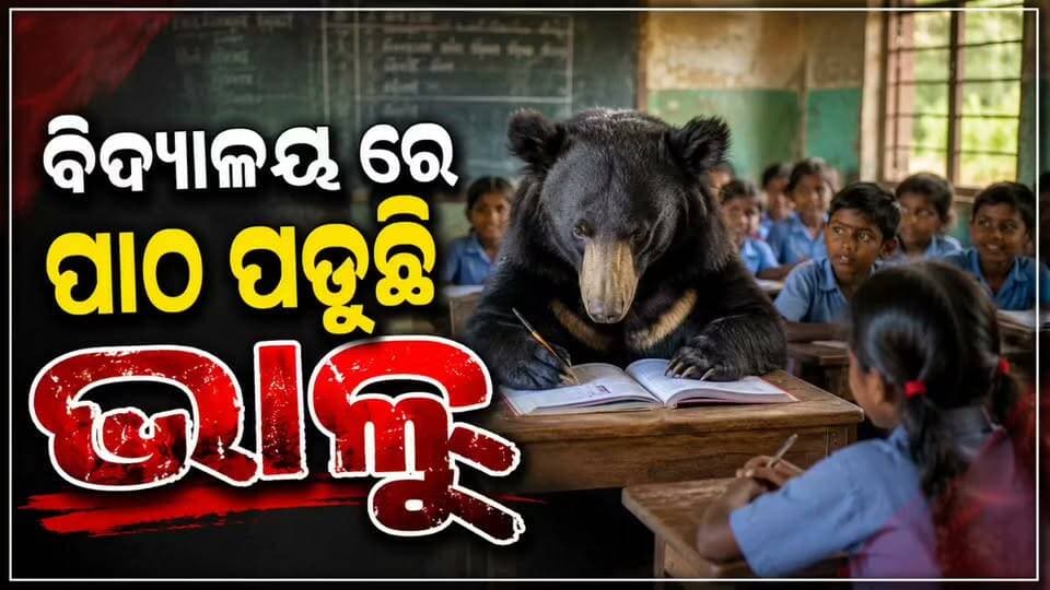 🐻 ରାତି ହେଲେ ବିଦ୍ୟାଳୟରେ ପାଠ ପଢୁଛି ଭାଲୁ! ସକାଳ ହେଲେ ଜଙ୍ଗଲ ମୁହାଁ… ଭୟଭୀତ ଗ୍ରାମବାସୀ
ରାତି ହେଲେ ବିଦ୍ୟାଳୟ ପରିସରରେ ପଶୁଛି ଭାଲୁ। ସକାଳ ହେଲେ ପୁଣି ଜଙ୍ଗଲକୁ ଚାଲିଯାଉଛି। ଏଭଳି ଘଟଣାକୁ ନେଇ ଗ୍ରାମବାସୀଙ୍କ ମଧ୍ୟରେ ଛନକା ପଶିଛି।
ବିଦ୍ୟାଳୟ ନିକଟରେ ଭାଲୁର ଅବାଧ ଚଳପ୍ରଚଳ ଯୋଗୁଁ ଛାତ୍ରଛାତ୍ରୀ ଓ ଅଭିଭାବକଙ୍କ ମଧ୍ୟରେ ମଧ୍ୟ ଭୟ ସୃଷ୍ଟି ହୋଇଛି। ବନ ବିଭାଗ ଏହା ଉପରେ ନଜର ଦେଇ ଭାଲୁକୁ ସୁରକ୍ଷିତ ଭାବେ ଜଙ୍ଗଲକୁ ଘଉଡ଼ାଇବା ସହ ଲୋକଙ୍କ ସୁରକ୍ଷା ପାଇଁ ଆବଶ୍ୟକ ପଦକ୍ଷେପ ନେବାକୁ ଦାବି ହୋଇଛି।
📍 ଘଟଣାସ୍ଥଳରୁ ଆସୁଛି ରୋଚକ ଚିତ୍ର…
#Koraput #Bear #BearInSchool #OdishaNews #KoraputNews #Wildlife #କୋରାପୁଟ #ଭାଲୁ #ବିଦ୍ୟାଳୟ #ଗ୍ରାମବାସୀ #ଜଙ୍ଗଲ #KoraputLive