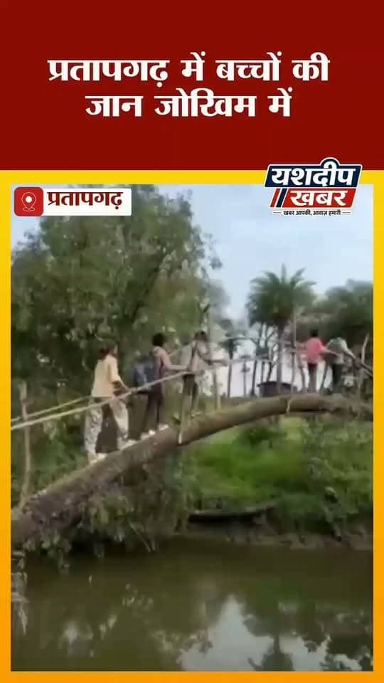 प्रतापगढ़ में बच्चों का अनोखा स्कूल सफर! खजूर के पेड़ से बना पुल, जान जोखिम में डालकर जाते हैं बच्चे
#प्रतापगढ़ #RajasthanNews #BreakingNews #SchoolNews #Udiakhedi #Dalot #YashdeepKhabar