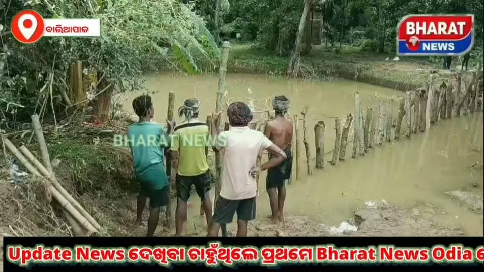 #ବାଲିବୁରା_ରେ_ସଜଡ଼ା_ଚାଲିଛି_ସୁବର୍ଣ୍ଣରେଖା_ନଦୀ_ବନ୍ଧ
ଲୋକଙ୍କ ଘର ନଦୀ ଗର୍ଭକୁ ଯିବାର ଯୋଜନା ଚାଲିଛି,ଦୁର୍ଦ୍ଦଶା ଭିତରେ ଲୋକେ l
#SubarnarekhaRiver #Baliapal #bisnupur #baleswar #CMOOdisha #dmbaleswar
