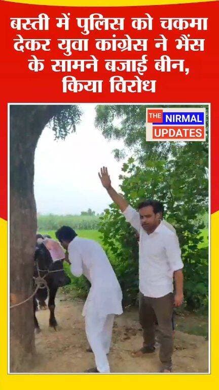 बस्ती में पुलिस को चकमा देकर युवा कांग्रेस ने भैंस के सामने बजाई बीन, किया अनोखा विरोध..
#trendingpost #viralpost #facebookpost #NewsUpdate #Basti #fallowers #CongressParty