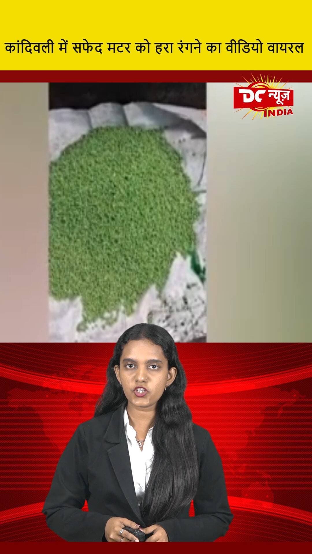 कांदिवली में सफेद मटर को हरा रंगने का वीडियो वायरल || DC NEWS INDIA
#WhitePeas #GreenDye #Kandivali #ViralVideo #DCNewsIndia #FoodTrends #ColorfulFood #IndianCuisine #FoodExperiment #ViralNews