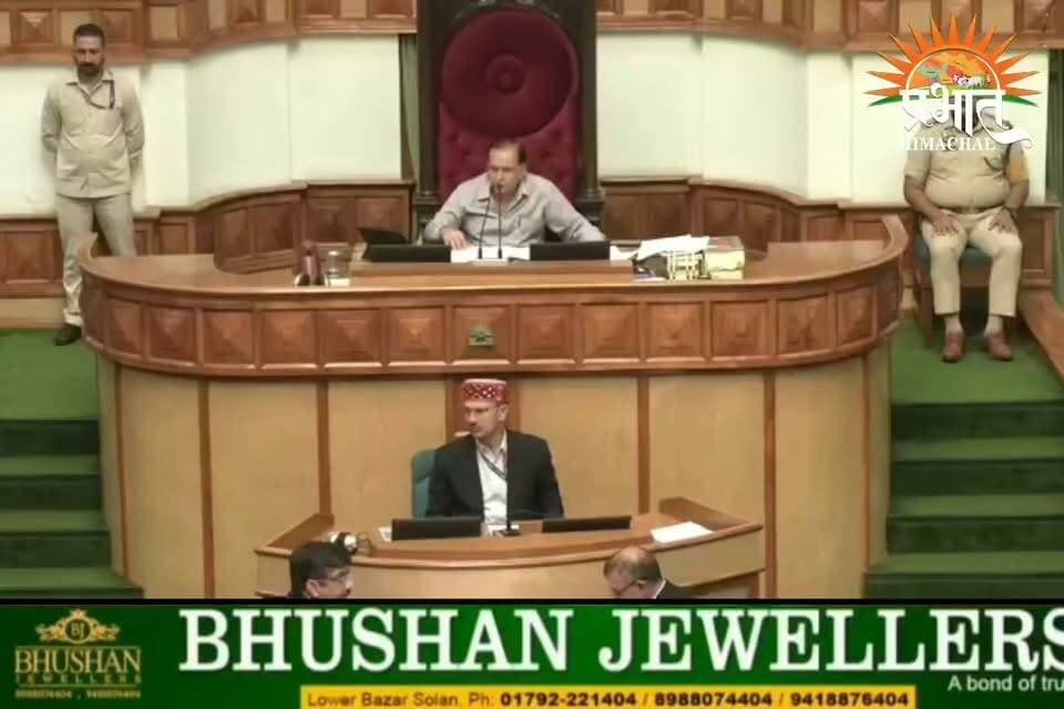 विनोद सुल्तानपुरी ने विधानसभा में उठाया करोड़ों की गड़बड़ी का मामला, डिप्टी CM ने जांच रिपोर्ट में क्या आया बताया—सुनिए पूरी चर्चा
#BreakingNews #VinodSultanpuri #Nalagarh #Solan #HimachalPradesh #VidhanSabha #HimachalNews #DeputyCM #HimachalPolitics