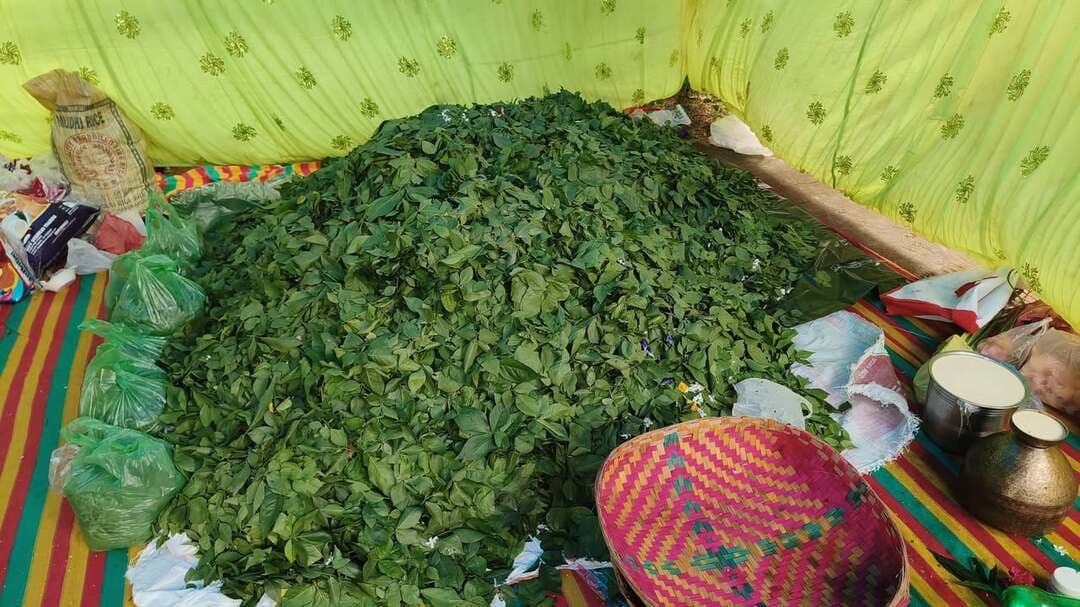 ଶ୍ରାବଣ ଚତୁର୍ଦ୍ଦଶୀ ଅବସରରେ ବାବା ସୋମନାଥଙ୍କ ପୀଠରେ ଭକ୍ତିମୟ ପରିବେଶ!
ବିଳାସପୁର ସ୍ଥିତ ପ୍ରସିଦ୍ଧ ବାବା ସୋମନାଥଙ୍କ ନିକଟରେ ଶ୍ରାବଣ ଚତୁର୍ଦ୍ଦଶୀ ଉପଲକ୍ଷେ ୨ ଲକ୍ଷ ୨୧ ହଜାର ବେଲପତ୍ର ଅର୍ପଣ କରାଯାଇଛି। ଭକ୍ତଙ୍କ ହର ହର ମହାଦେବ ଧ୍ୱନିରେ କମ୍ପିଉଠିଛି ସମ୍ପୂର୍ଣ୍ଣ ଆଧ୍ୟାତ୍ମିକ ପରିବେଶ।
#BabaSomnath #Bilaspur #SravanaChaturdashi #Bholanath #HarHarMahadev #BodhNews #odianewshortcomedy
