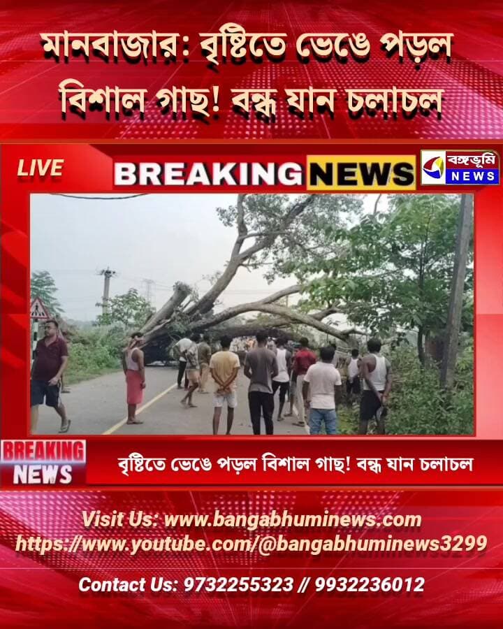 🔴 #Breaking মানবাজার: বৃষ্টিতে ভেঙে পড়ল বিশাল গাছ! বন্ধ যান চলাচল
#Manbazar #purulia #UpdateNews #TopNews