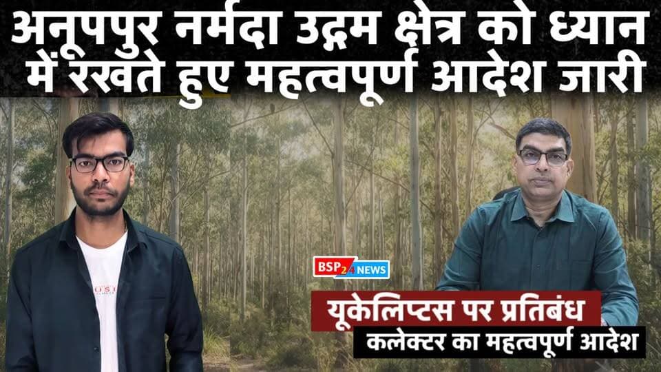 यूकेलिप्टस पर बड़ा फैसला! 🌳 यूकेलिप्टस के पेड़ों को लेकर कलेक्टर ने जारी किया महत्वपूर्ण आदेश। आखिर क्या है पूरा मामला और क्यों लिया गया यह फैसला?
पूरी खबर वीडियो में देखें और जानें क्या बदलेगा। 👇
#Eucalyptus #AnuppurNews #collectoranuppur #MadhyaPradesh #BSP24News