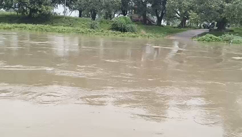 हथना खुर्द मलंग नाला रपटा पर पानी का कहर, आवागमन पूरी तरह बंद!!
सिरसा कलार! बाबई-सिरसा कलार मार्ग पर बने हथना खुर्द मलंग नाला रपटा के ऊपर से पानी तेज बहाव के साथ बह रहा है 24 घंटे से लगातार हो रही बारिश का पानी का बहाव बढ़ने से रपटा पूरी तरह जलमग्न हो गया है जिसके चलते इस मार्ग पर आवागमन पूरी तरह बंद हो गया है। रपटा के ऊपर पानी होने से राहगीरों और वाहन चालकों के लिए खतरा बढ़ गया है स्थानीय लोगों ने बताया कि पानी का बहाव तेज होने के कारण दोपहिया और चारपहिया वाहनों का निकलना पूर्णता बंद है बंद होने से आसपास के ग्रामीणों को आवागमन में परेशानी का सामना करना पड़ रहा है
ग्रामीणों ने प्रशासन से रपटा पर सुरक्षा व्यवस्था कराने और पानी कम होने तक लोगों को जोखिम उठाकर निकलने से रोकने की मांग की है लोगों का कहना है कि बारिश के दौरान इस रपटे पर पानी भरने की समस्या अक्सर बनी रहती है, जिससे ग्रामीणों को काफी परेशानी होती है लगभग इस रास्ते से 15 से 20 गांव का संपर्क मार्ग टूटा।।।।