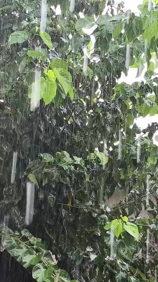 बदला हुआ मौसम............