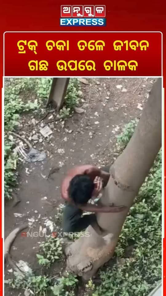 ତାଳଚେର ଚାଇଁପାଳ ଓଭର ବ୍ରିଜ୍ ନିକଟରେ ସ୍ୱାମୀ ସ୍ତ୍ରୀଙ୍କୁ ଗାଡି ଚଢେଇ ଦେଇ ଡ୍ରାଇଭର ଖସି ପଳାଉଥିବାର ଦୃଶ୍ୟ। #anugola #BreakingNews #angulexpress # #viralreels