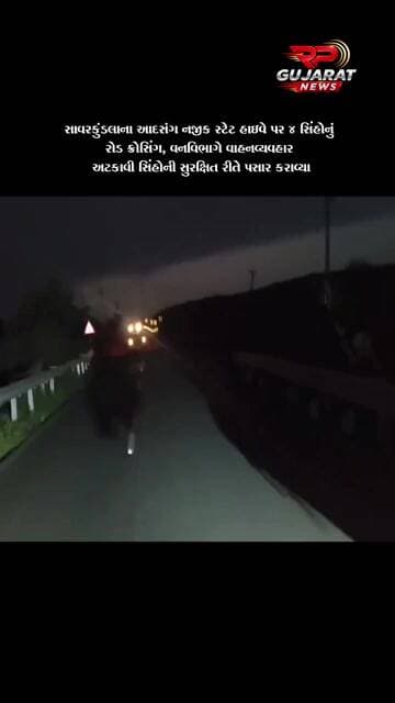 આદસંગ નજીક સ્ટેટ હાઈવે પર 4 સિંહોનું રોડ ક્રોસિંગ, વનવિભાગે વાહનવ્યવહાર રોક્યો