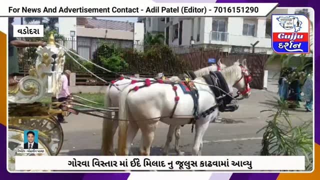 ગોરવા વિસ્તાર માં ઈદે મિલાદ નુ જૂલુસ કાઢવામાં આવ્યુ #EidMilad2026 #Vadodara #GorwaVadodara #IslamicPost #gujjudarshan
