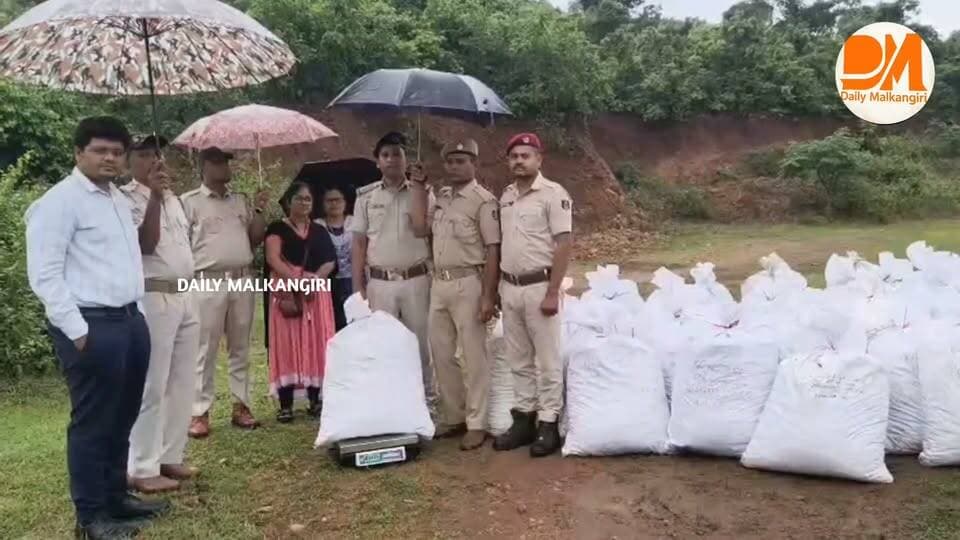 କାଲିମେଳା ପୋଲିସକୁ ମିଳିଛି ଏକ ବଡ଼ ସଫଳତା। କାଙ୍ଗୁରକୋଣ୍ଡା ପଞ୍ଚାୟତ ଏମଭି-୭୩ ଗ୍ରାମ ନିକଟରୁ ବିଶେଷ ସୂତ୍ରରୁ ଖବର ପାଇ ପୋଲିସ ଚଢ଼ାଉ କରି ୧୦ କୋଟିରୁ ଊର୍ଦ୍ଧ୍ୱ ଟଙ୍କାର ଗଞ୍ଜେଇ ଜବତ କରିଥିବା ବେଳେ ଅଭିଯୁକ୍ତ ଫେରାର ଥିବା ସୂଚନା।
#MalkangiriPolice