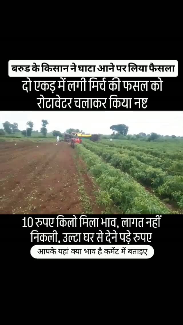 किसान ने मिर्च की फसल पर रोटावेटर चलाया #khargone_family #khargone