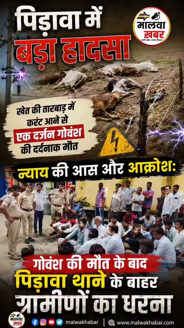 पिड़ावा: खेत में दोडा करंट, 13 गौवंश की मौत, खेजड़िया गांव कि घटना, नाराज ग्रामीणों ने थाने के बाहर दिया धरना
पिड़ावा के खेजड़िया गांव में खेत के चारों ओर लगी तारबाड़ में करंट छोड़ने से करीब एक दर्जन गोवंश की मौत हो गई। ग्रामीणों का आरोप है कि खेत मालिक ने फसल की सुरक्षा के लिए तारों में करंट छोड़ रखा था।
ग्रामीणों के अनुसार, गांव की सैकड़ों बीघा गौचर भूमि पर अतिक्रमण होने के कारण गोवंश खेतों में जाने को मजबूर हैं। इसी दौरान खेत में प्रवेश करने के प्रयास में गोवंश करंट की चपेट में आ गए।
घटना से आक्रोशित ग्रामीण पिड़ावा थाने के बाहर धरने पर बैठ गए और गौचर भूमि को अतिक्रमण मुक्त कराने की मांग पर अड़ गए हैं। ग्रामीणों का कहना है कि इस समस्या को लेकर पहले भी प्रशासन को अवगत कराया जा चुका है।
#Pirawa #Jhalawar #Khajadiya #Gauvansh #CowDeath Electric Shock GaucharLand
Encroachment PidawaNews JhalawarNews Rajasthan News Breaking News ViralNews GauSeva Gauchar Bhoomi