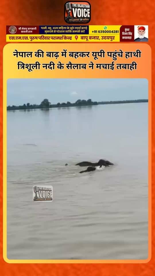 नेपाल की बाढ़ में बहकर यूपी पहुंचे हाथी, त्रिशूली नदी के सैलाब ने मचाई तबाही