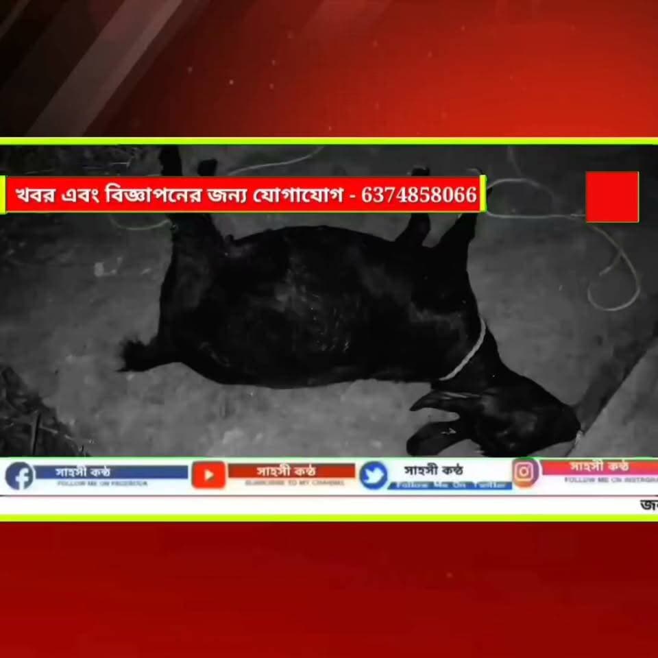 ছাগল চুরিকে কেন্দ্র করে বিক্রমনগর হাসপাতাল চৌমুহনী উত্তপ্ত, দুই দিন ধরে পুলিশ-TSR মোতায়েন