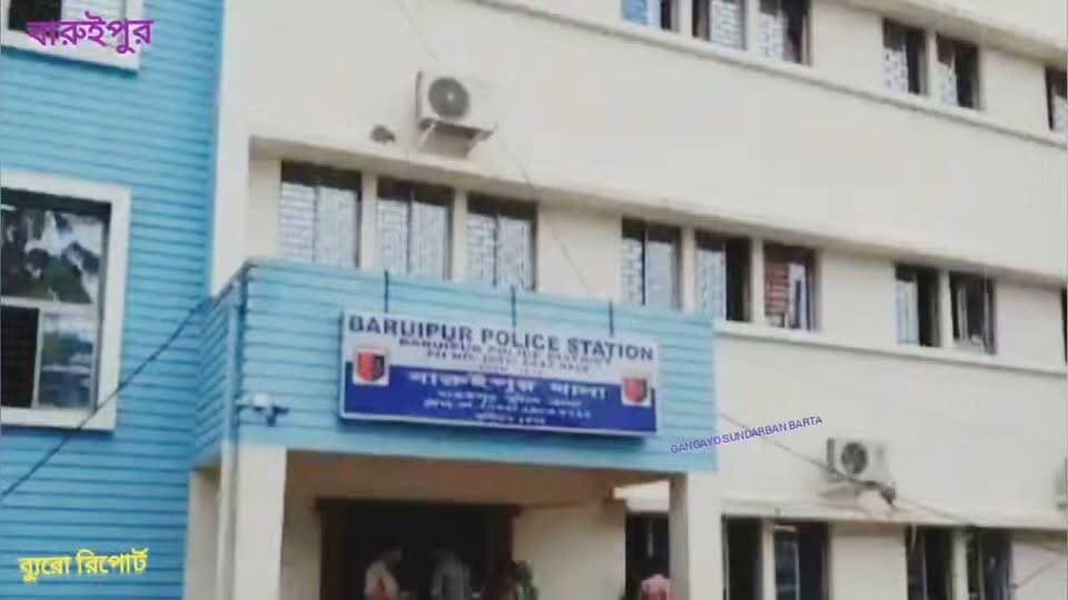 চম্পাহাটির হারালে নিষিদ্ধ ১০০ কেজি বাজি উদ্ধার নিয়ে বারুইপুর পুলিশ জেলার এএসপি কি বললেন দেখুন #GSB #police #CrimeNews #baruipur