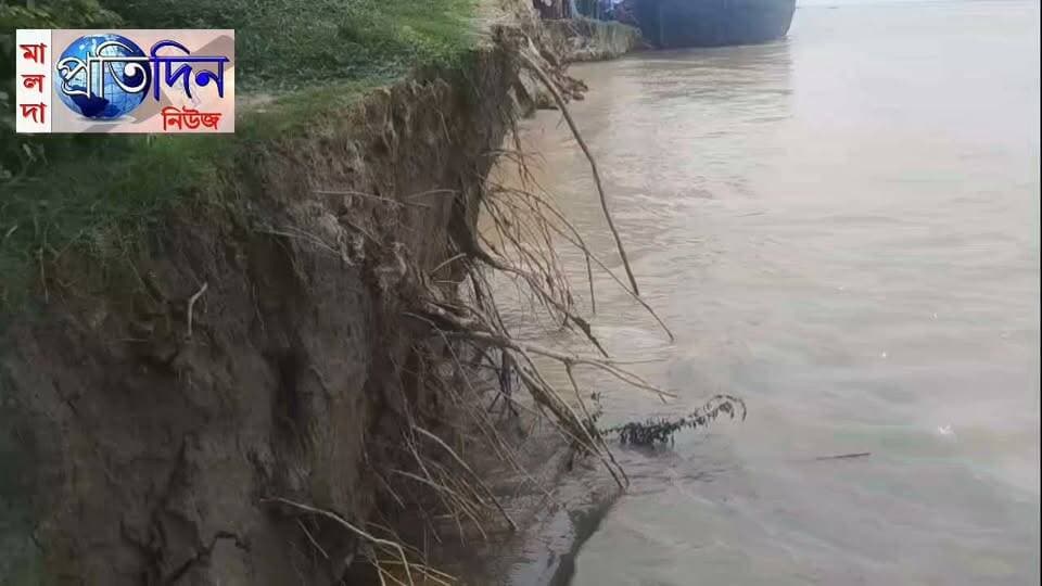 মালদা প্রতিদিন নিউজঃ মালদার মানিকচকের জোতপাট্টা,গোপালপুর ও রামনগর এলাকায় গঙ্গার ভয়াবহ ভাঙনে চরম আতঙ্ক ছড়িয়েছে নদীতীরবর্তী অঞ্চলে। বুধবার ভাঙন কবলিত এলাকা পরিদর্শন করেন মালদা জেলা সিটু সম্পাদক দেবজ্যোতি সিনহা। তিনি স্থানীয় বাসিন্দাদের সঙ্গে কথা বলে তাঁদের সমস্যার কথা শোনেন এবং দ্রুত ভাঙন রোধে কার্যকর ব্যবস্থা গ্রহণের দাবি জানান।
স্থানীয়দের অভিযোগ, চোখের নিমিষে গঙ্গার গ্রাসে বিলীন হয়ে যাচ্ছে বিঘার পর বিঘা উর্বর কৃষিজমি। ক্রমাগত ভাঙনের ফলে অনিশ্চয়তার মুখে পড়েছেন বহু কৃষক ও নদীতীরবর্তী পরিবার।
অন্যদিকে, ভূতনির কেশরপুর কলোনি এলাকাতেও ভাঙন পরিস্থিতির অবনতি ঘটেছে।
এলাকাবাসীদের অভিযোগ, প্রতি বছর বর্ষার সময় গঙ্গা ভাঙনের সমস্যা প্রকট আকার ধারণ করে। এর ফলে কৃষি, জীবিকা ও সাধারণ মানুষের জীবনযাত্রার উপর মারাত্মক প্রভাব পড়ছে। পরিস্থিতি মোকাবিলায় জরুরি ভিত্তিতে ভাঙন প্রতিরোধের কাজ শুরু করার দাবি তুলেছেন তাঁরা।
ভাঙন পরিস্থিতি নিয়ে সরব হয়েছেন মালদা জেলা সিটু সম্পাদক দেবজ্যোতি সিনহা। এলাকা পরিদর্শনের পর তিনি বলেন,প্রতি বছর গঙ্গা ভাঙনে সাধারণ মানুষ ব্যাপক ক্ষতির মুখে পড়ছেন। কিন্তু দীর্ঘদিন ধরেও এই সমস্যার স্থায়ী সমাধান হয়নি। সরকারকে অবিলম্বে কার্যকর পদক্ষেপ গ্রহণ করতে হবে।
এদিকে, গঙ্গার অব্যাহত ভাঙন ঘিরে উদ্বেগ ক্রমশ বাড়ছে নদীতীরবর্তী অঞ্চলে। এখন প্রশাসনের দ্রুত ও কার্যকর পদক্ষেপের দিকেই তাকিয়ে রয়েছেন ক্ষতিগ্রস্ত এলাকার সাধারণ মানুষ।