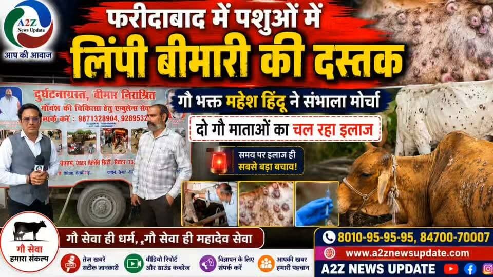 फरीदाबाद में पशुओं में लिंपी बीमारी की दस्तक! 🐄🚨
गौ भक्त महेश हिंदू ने संभाला मोर्चा, दो गौ माताओं का चल रहा इलाज
समय पर इलाज और सावधानी ही सबसे बड़ा बचाव!
#Faridabad #LumpySkinDisease #LumpyDisease #GauSeva #MaheshHindu #CowCare #AnimalCare #A2ZNewsUpdate #BreakingNews