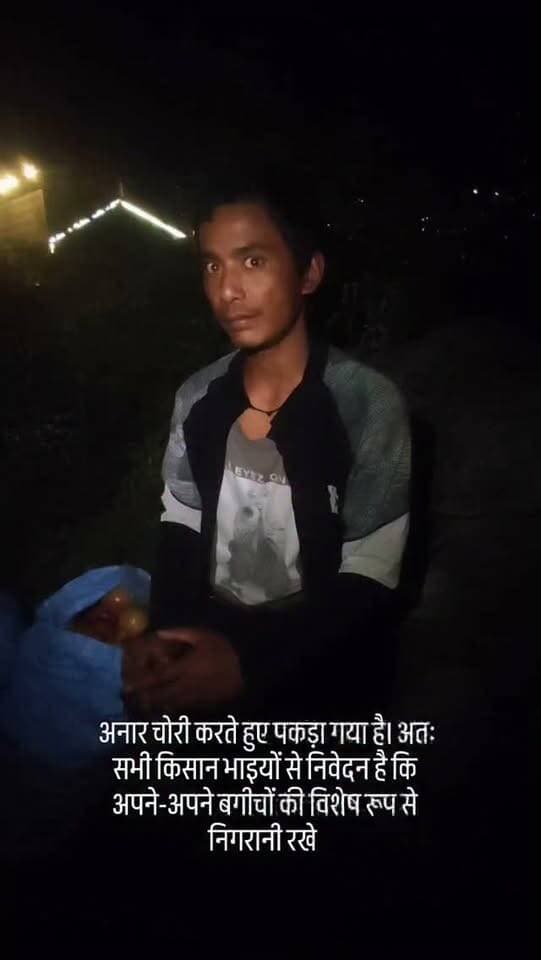 आज तलोगी गाँव में एक व्यक्ति अनार चोरी करते हुए पकड़ा गया है। अतः सभी किसान भाइयों से निवेदन है कि अपने-अपने बगीचों की विशेष रूप से निगरानी रखें और अनजान लोगों को गाँव एवं बगीचों में घूमने न दें। सभी किसान भाई सतर्क रहें और अपने बगीचों की सुरक्षा का ध्यान रखें।
#manalinews #manalinews #manaliupdate #manalı #kullumanlinews