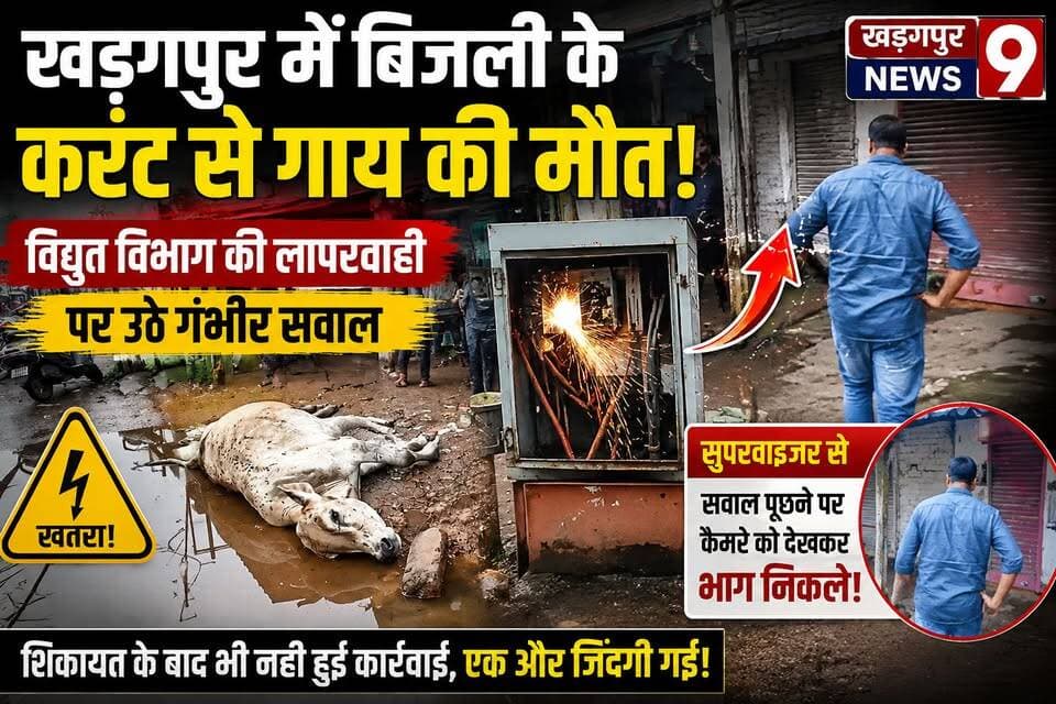 #electricshock : खड़गपुर में बिजली के करंट से गाय की मौत, विद्युत विभाग की लापरवाही पर उठे गंभीर सवाल। #cowdeath #negligence #electricdepart #kharagpurnews9
