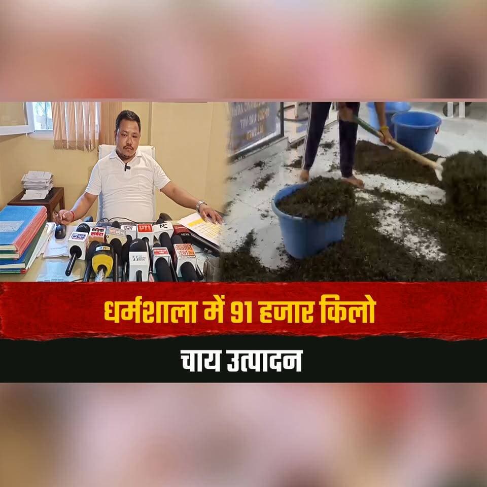 धर्मशाला में 91 हजार किलो चाय उत्पादन
नवंबर तक डेढ़ लाख का लक्ष्य
#Dharamshala #TeaProduction #KangraTea #TeaFarming #HimachalAgriculture #TeaGrowers #OnePointFiveLakhTarget #Kangra #HimachalNews #BreakingNews #thesummernewshimachal