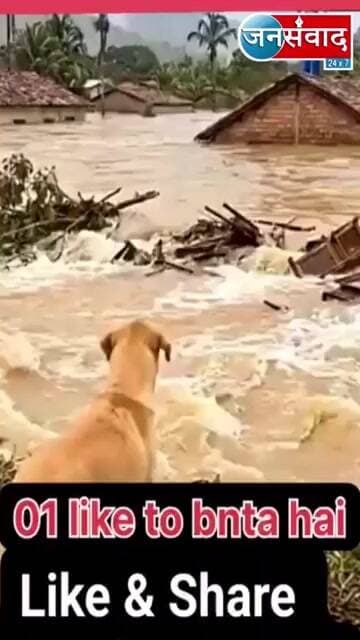 वफादारी की एक सुंदर तस्वीर #latestnews #hindinews #shorts #sadstatus #saveanimals #flood #savelife