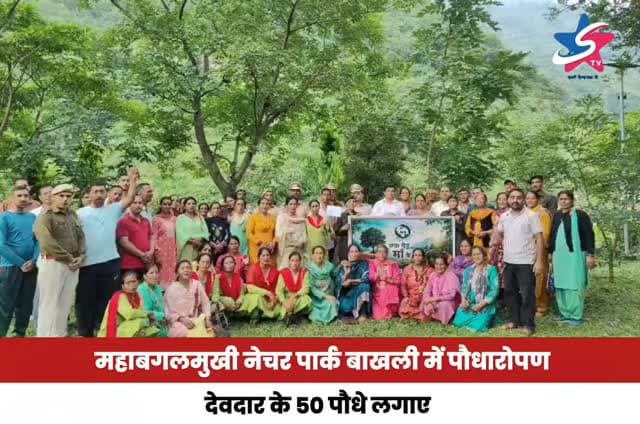 महाबगलमुखी नेचर पार्क बाखली में पौधारोपण, देवदार के 50 पौधे लगाए