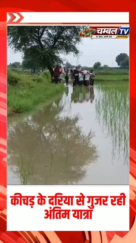 कीचड़ के दरिया से गुजरती अंतिम यात्रा, बालापुरा में श्मशान घाट तक रास्ता नहीं #श्योपुर #मध्यप्रदेश #BreakingNews #श्योपुर #sheopur #चंबलटीवी #JansamparkMP #LiveNews #livenewshindi #newseason #MadhyaPradesh #vijaypur #breakingnews #Beerpur #HindiNews #chambaltv #newsupdate #समाचार #newsfeed #news #खबर #मुरैना #Chambalnews