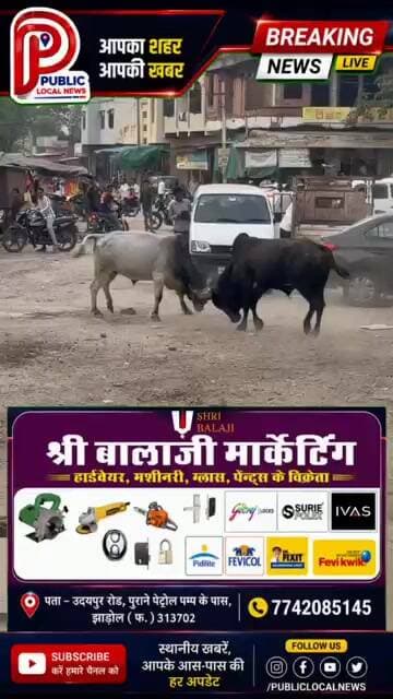 झाड़ोल के सती चौराहे पर दो सांडों की जोरदार भिड़ंत, राहगीरों में मची अफरा-तफरी