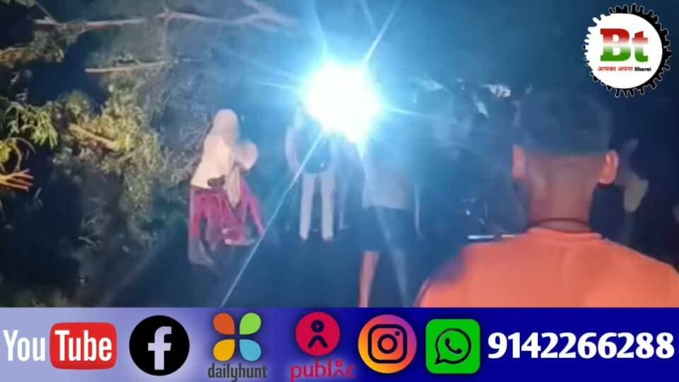 बछवाड़ा में बिना आंधी और बारिश के सड़क पर पेड़ गिरने से यातायात प्रभावित News18 India ABP Live Aaj Tak India Today News24