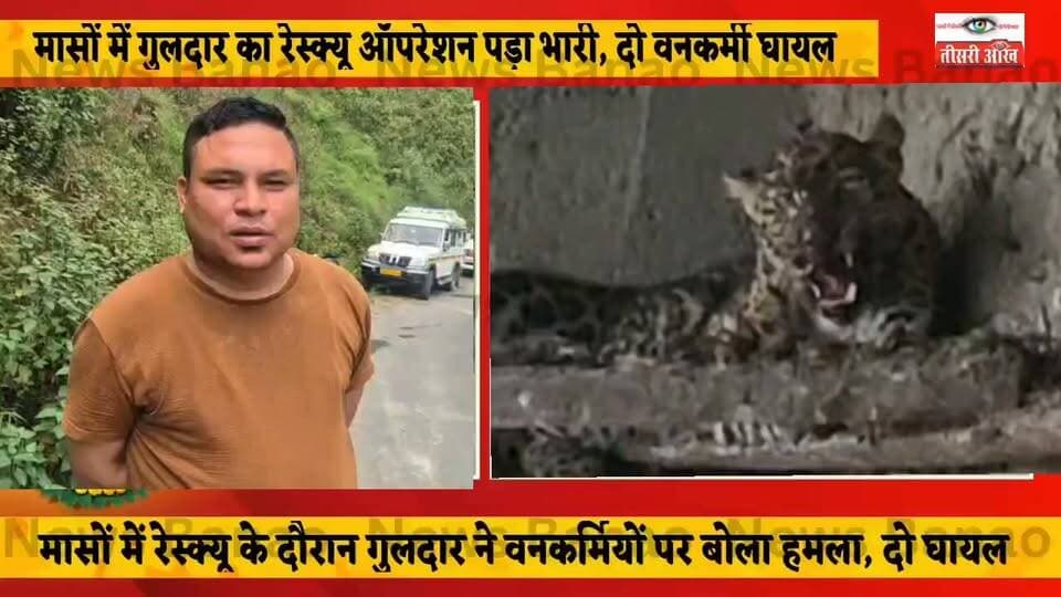 आखिर बार-बार क्यों मुर्गी के बाड़े में कैद हो रहा गुलदार? गुलदार ने ट्रैंकुलाइज टीम पर किया हमला, दो वनकर्मी घायल।
