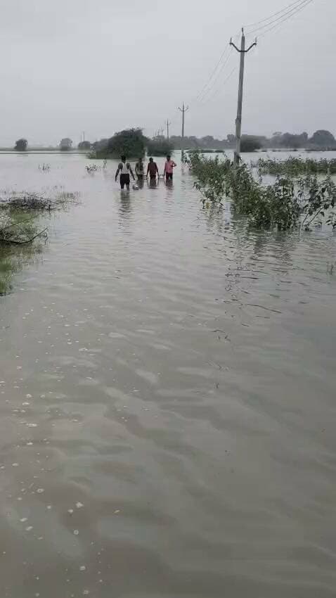 कुरारा-हमीरपुर: शिवनी के मजरा जगनपुर की मुख्य सड़क पर जलभराव से आवागमन बाधित,रक्षाबंधन पर राखी व मिठाई की खरीदारी के लिए शिवनी-कुरारा जाने वाले ग्रामीण, खासकर महिलाएं, परेशान हैं। ग्रामीणों ने प्रशासन से जल्द जलभराव दूर कर रास्ता दुरुस्त कराने की मांग की। @dmhamirpurup @UPGovt