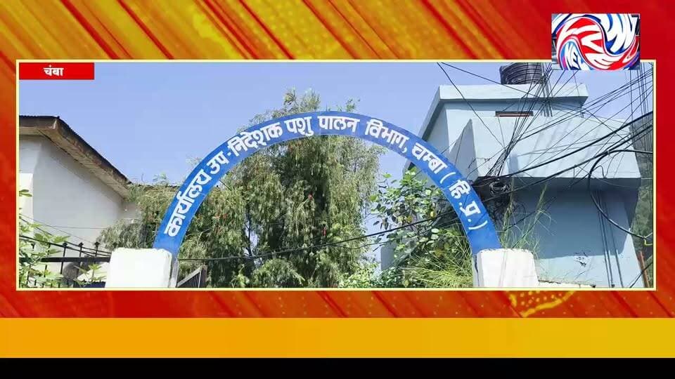 लंपी रोग की दस्तक से पहले पशुओं को मिलेगा सुरक्षा कवच
सुरेंद्र ठाकुर
चंबा 27 अगस्त
लंपी स्किन रोग के संभावित खतरे को देखते हुए पशुपालन विभाग चंबा ने जिले में पशुओं का व्यापक टीकाकरण अभियान तेज कर दिया है। विभाग ने करीब 21 हजार पशुओं के टीकाकरण का लक्ष्य रखा है, जिसमें से अब तक 15 हजार पशुओं को वैक्सीन लगाई जा चुकी है। शेष करीब छह हजार पशुओं का टीकाकरण एक सप्ताह के भीतर पूरा करने का लक्ष्य है।
अभियान के तहत विभाग की विशेष टीमें गांव-गांव और घर-घर पहुंचकर पशुपालकों से संपर्क कर रही हैं और मौके पर ही पात्र पशुओं का टीकाकरण किया जा रहा है। साथ ही पशुपालकों को लंपी रोग के लक्षणों और बचाव के उपायों के प्रति भी जागरूक किया जा रहा है।
लंपी स्किन रोग मवेशियों में तेजी से फैलने वाली बीमारी है, जिससे पशुओं के स्वास्थ्य के साथ पशुपालकों की आर्थिक स्थिति पर भी असर पड़ सकता है। इसी को देखते हुए विभाग बीमारी के संभावित फैलाव से पहले ही एहतियाती कदम उठा रहा है।
विभाग के अनुसार इससे पहले भी जिले में बड़े स्तर पर टीकाकरण अभियान चलाया गया था, जिसमें करीब 80 हजार 600 पशुओं का टीकाकरण किया गया था। पशुपालन विभाग के उपनिदेशक डॉ. राकेश भंगलिया ने पशुपालकों से अपील की है कि वे विभागीय टीमों का सहयोग करें और अपने पात्र पशुओं का टीकाकरण अवश्य करवाएं।
#लंपी_स्किन_रोग
#LumpySkinDisease
#पशु_टीकाकरण
#चंबा
#Chamba
#पशुपालन_विभाग
#पशुपालक
#पशु_स्वास्थ्य
#लंपी_रोग_से_बचाव
#PangiLiveNews