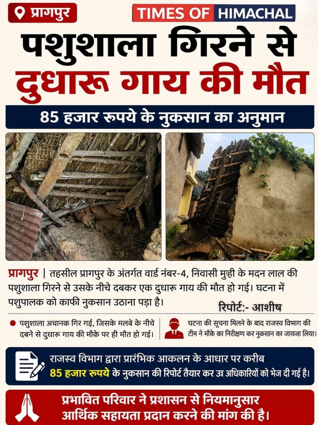 प्रागपुर: पशुशाला गिरने से दुधारू गाय की मौत, 85 हजार रुपये के नुकसान का अनुमान ।।
<nis:link nis:type=tag nis:id=timesofhimachal nis:value=timesofhimachal nis:enabled=true nis:link/>