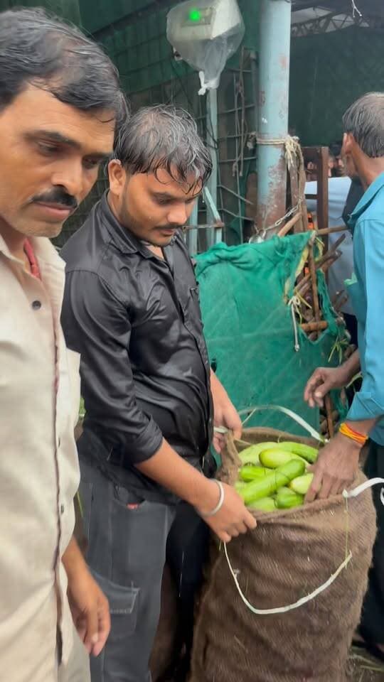 लोकल खीरे का भाव 🥒 📍झाँसी मंडी #cucumber #khirabhav #mandibhav #jhansi #viralreels