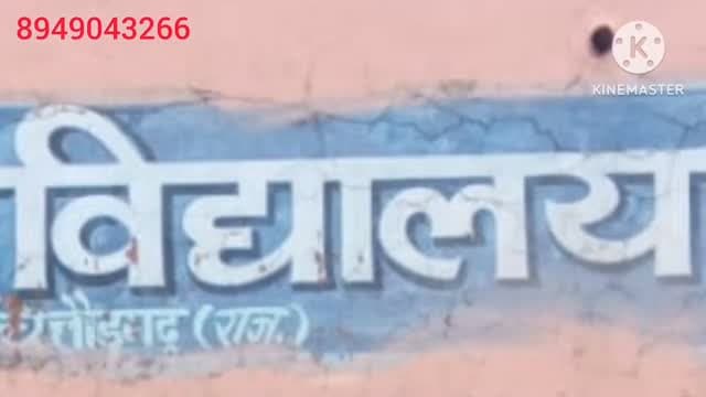 बच्चे पढ़ रहे थे… तभी कमरे में दिखा विशाल सांप! 😱 केलझर के खेत में भी मिला अजगर, बस्सी वन्यजीव टीम ने दोनों का किया सुरक्षित रेस्क्यू