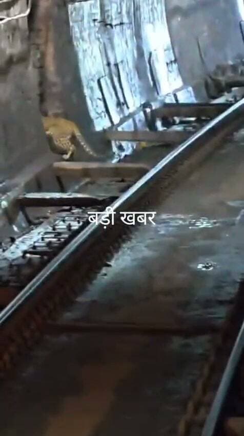 💥 बड़ी खबर💥
ट्रेन के आगे दौड़ा तेंदुए का शावक, सतर्क स्टाफ ने बचाई जान
बिलासपुर-कटनी रेलमार्ग की भनवारटंक टनल में पटरी पर तेंदुए का शावक नजर आया। ट्रेन के गार्ड और लोको पायलट ने संवेदनशीलता दिखाते हुए तुरंत रफ्तार कम कर दी। गार्ड ने इस रोमांचक पल का वीडियो बनाया, जिसके बाद शावक सुरक्षित रूप से जंगल में लौट गया।